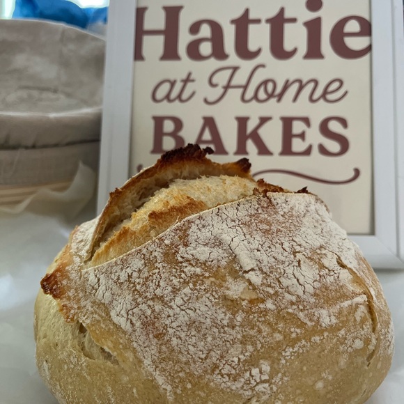 Meet your Posher, Hattie - Picture 4 of 16